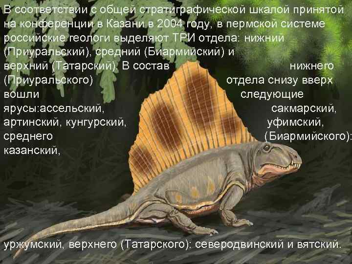 В соответствии с общей стратиграфической шкалой принятой на конференции в Казани в 2004 году,