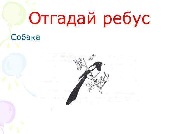 Отгадай ребус Собака 