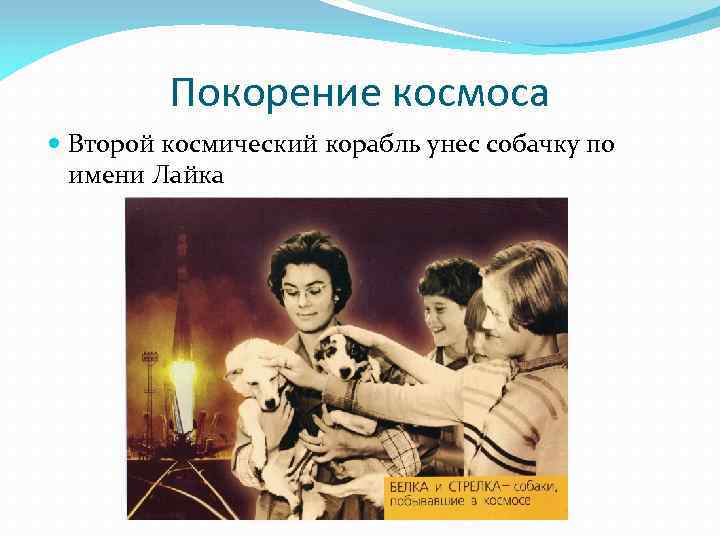Покорение космоса Второй космический корабль унес собачку по имени Лайка 