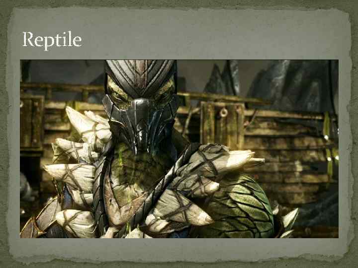 Reptile 