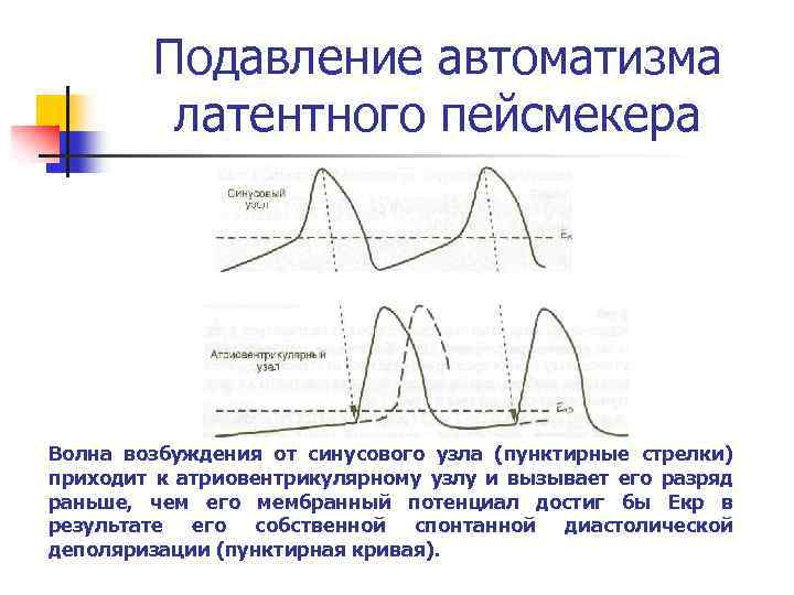 Обязательные условия возбуждения механической волны