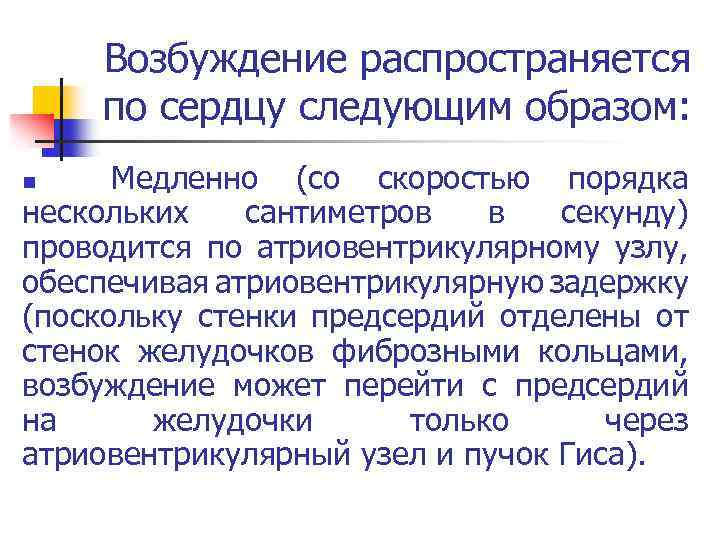 Возбуждение распространяется по сердцу следующим образом: Медленно (со скоростью порядка нескольких сантиметров в секунду)