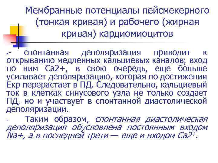 Мембранные потенциалы пейсмекерного (тонкая кривая) и рабочего (жирная кривая) кардиомиоцитов спонтанная деполяризация приводит к