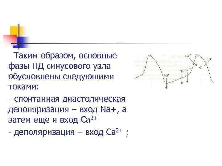 Таким образом, основные фазы ПД синусового узла обусловлены следующими токами: спонтанная диастолическая деполяризация –