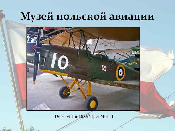 Музей польской авиации De Havilland 82 A Tiger Moth II 