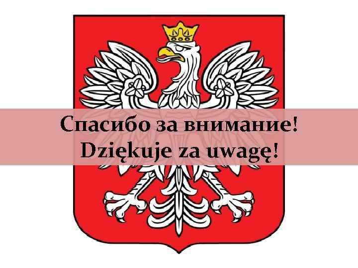 Спасибо за внимание! Dziękuje za uwagę! 