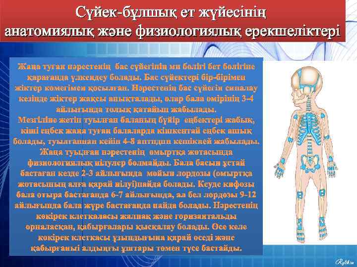 Сүйек-бұлшық ет жүйесінің анатомиялық және физиологиялық ерекшеліктері Жаңа туған нәрестенің бас сүйегінің ми бөлігі