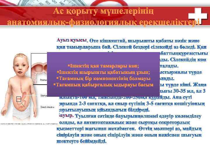 Ас қорыту мүшелерінің анатомиялық-физиологиялық ерекшеліктері Ауыз қуысы §Ішектің қан тамарлары көп; Өңеш §Ішектің шырышты