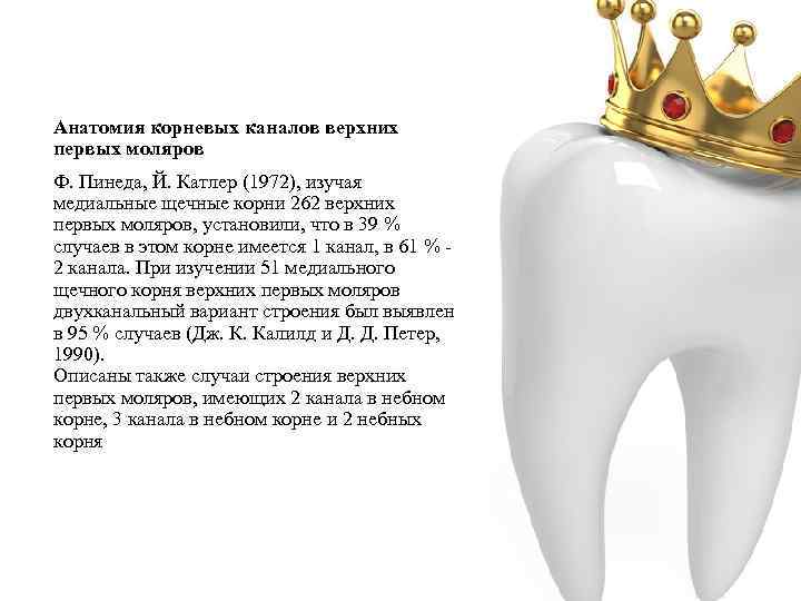 Анатомия корневых каналов верхних первых моляров Ф. Пинеда, Й. Катлер (1972), изучая медиальные щечные