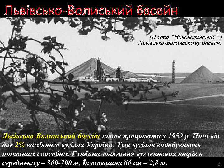 Шахта “Нововолинська” у Львівсько-Волинському басейні Львівсько-Волинський басейн почав працювати у 1952 р. Нині він