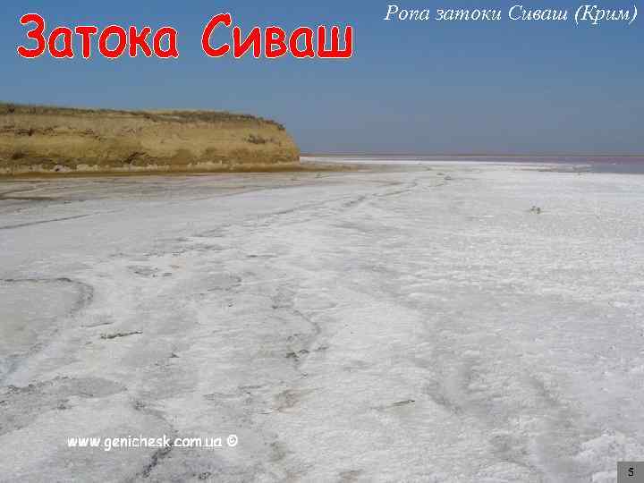 Ропа затоки Сиваш (Крим) 5 