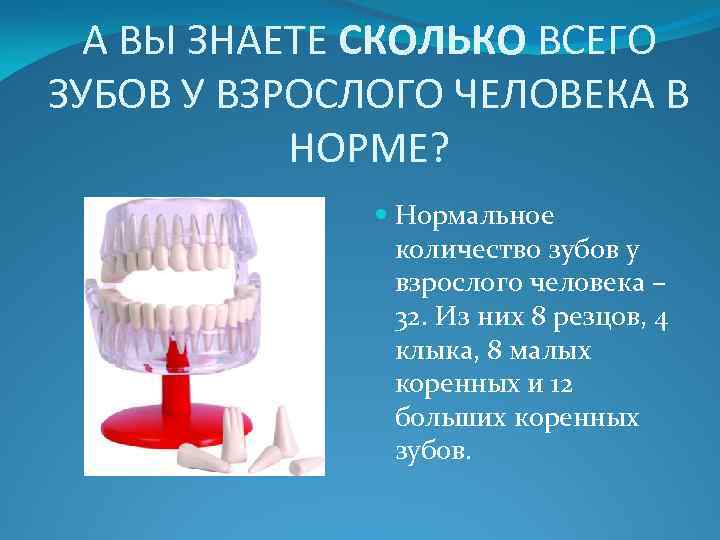 А ВЫ ЗНАЕТЕ СКОЛЬКО ВСЕГО ЗУБОВ У ВЗРОСЛОГО ЧЕЛОВЕКА В НОРМЕ? Нормальное количество зубов