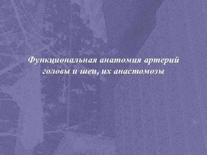 Функциональная анатомия артерий головы и шеи, их анастомозы 