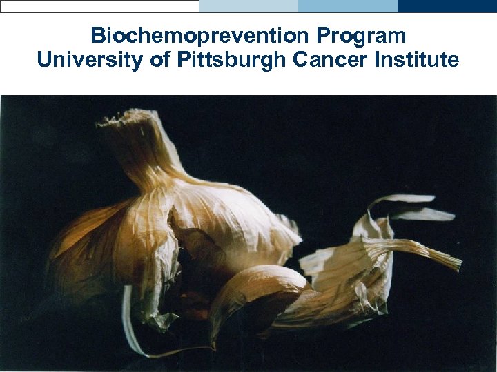 Biochemoprevention Program University of Pittsburgh Cancer Institute 