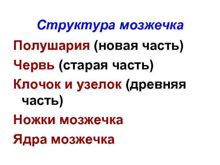 Структура мозжечка Полушария (новая часть) Червь (старая часть) Клочок и узелок (древняя часть) Ножки