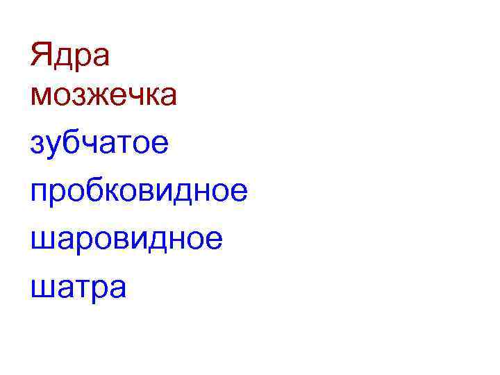 Ядра мозжечка зубчатое пробковидное шаровидное шатра 