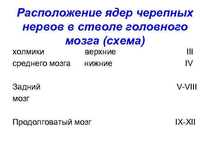 Расположение ядер черепных нервов в стволе головного мозга (схема) холмики среднего мозга верхние нижние