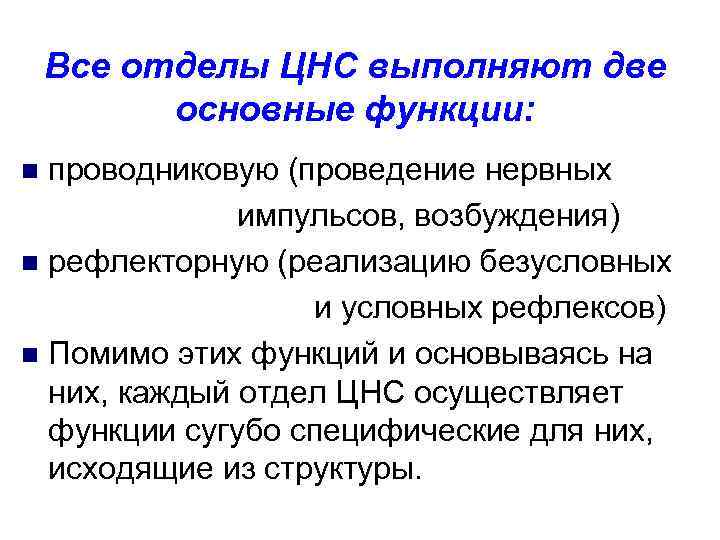 Все отделы ЦНС выполняют две основные функции: проводниковую (проведение нервных импульсов, возбуждения) n рефлекторную