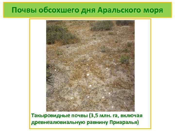 Почвы обсохшего дня Аральского моря Такыровидные почвы (3, 5 млн. га, включая древнеалювиальную равнину