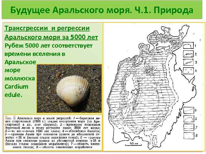 Будущее Аральского моря. Ч. 1. Природа Трансгрессии и регрессии Аральского моря за 5000 лет