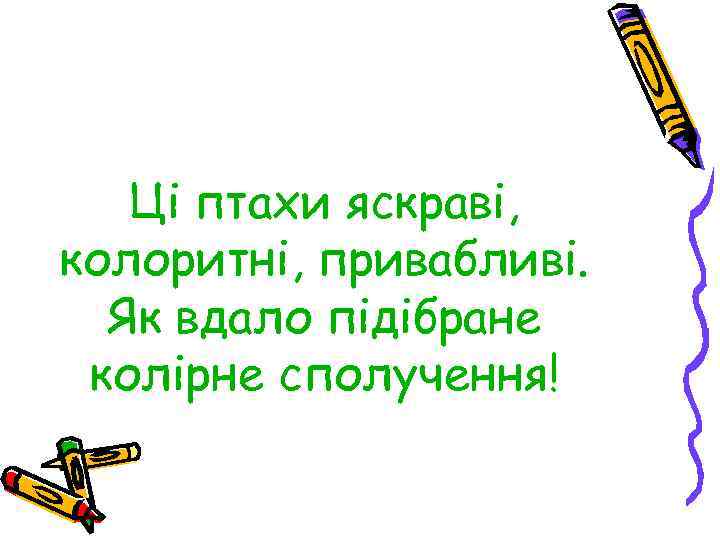 Ці птахи яскраві, колоритні, привабливі. Як вдало підібране колірне сполучення! 