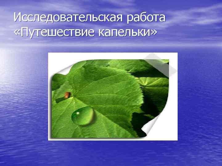 Исследовательская работа «Путешествие капельки» 