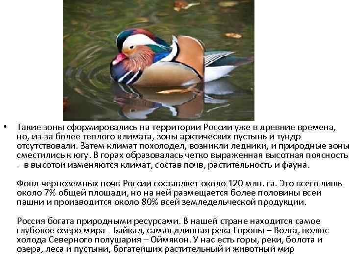  • Такие зоны сформировались на территории России уже в древние времена, но, из-за