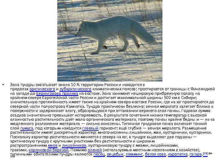  • Зона тундры охватывает около 10 % территории России и находится в пределах