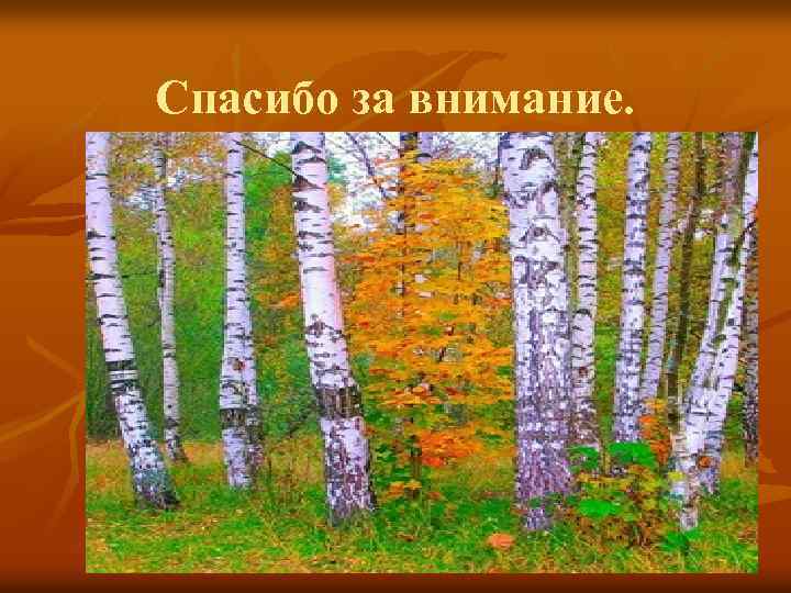 Спасибо за внимание. 