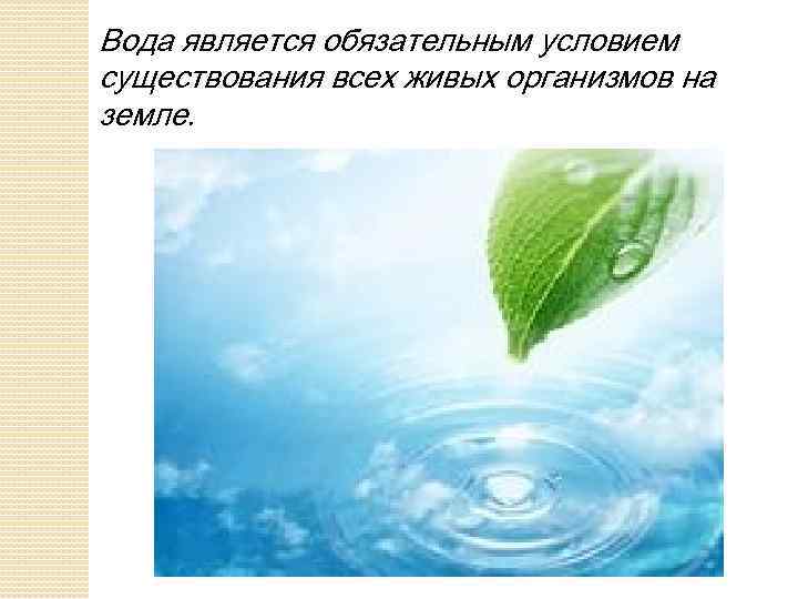 Систематизируйте свои знания о течениях по плану 1 каково значение течений для нашей планеты