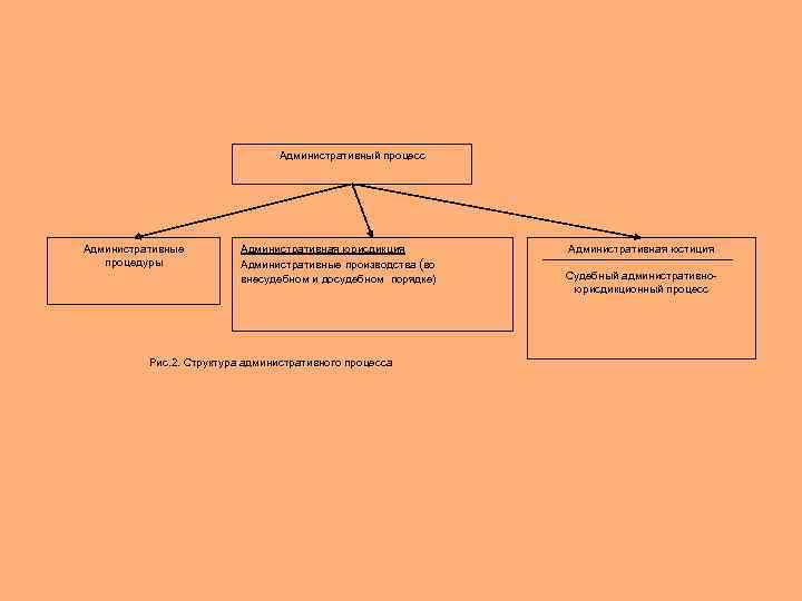 Структура административного процесса схема