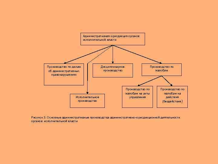 Юрисдикция организации. Структура административной юрисдикции. Виды административной юрисдикции. Административная юрисдикция схема. Административная юрисдикция таблица.