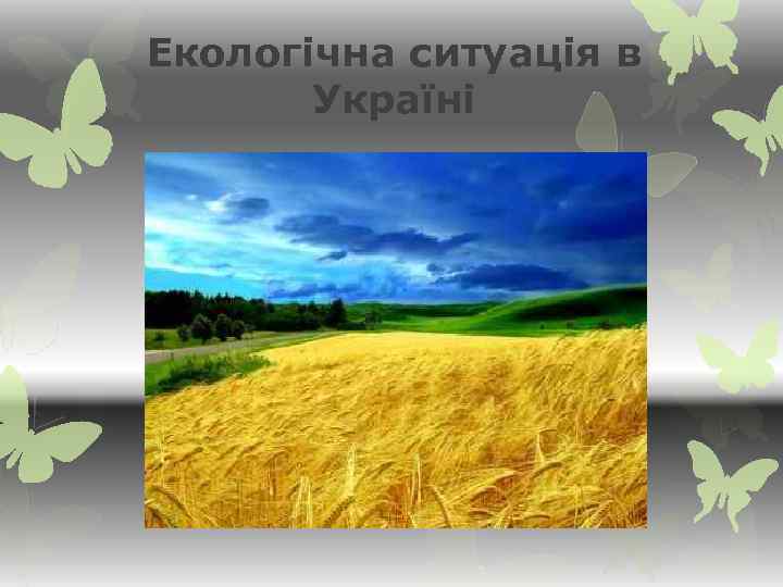 Екологічна ситуація в Україні 