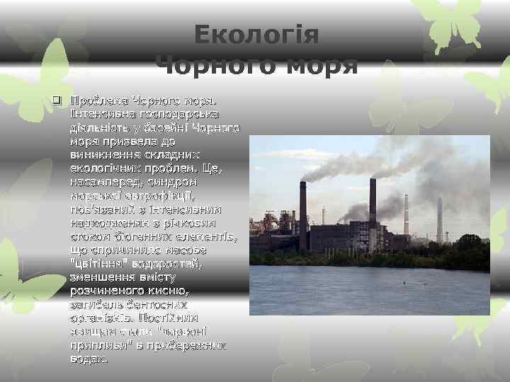 Екологія Чорного моря q Проблема Чорного моря. Інтенсивна господарська діяльність у басейні Чорного моря