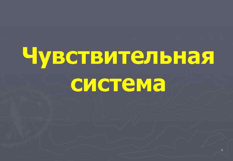 Чувствительная система 1 