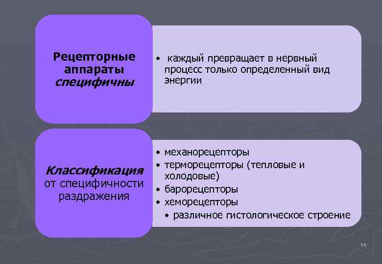 Рецепторные аппараты специфичны • каждый превращает в нервный процесс только определенный вид энергии •