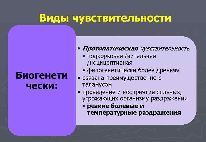 Виды чувствительности Биогенети чески: • Протопатическая чувствительность • подкорковая /витальная /ноцицептивная • филогенетически более