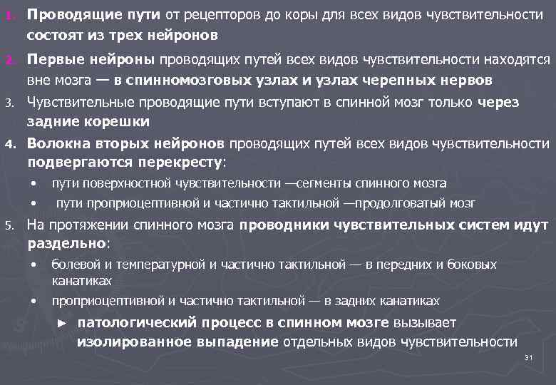 1. Проводящие пути от рецепторов до коры для всех видов чувствительности состоят из трех