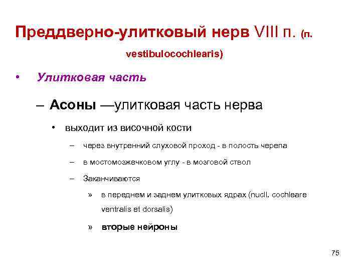 Преддверно-улитковый нерв VIII п. (п. vestibulocochlearis) • Улитковая часть – Асоны —улитковая часть нерва