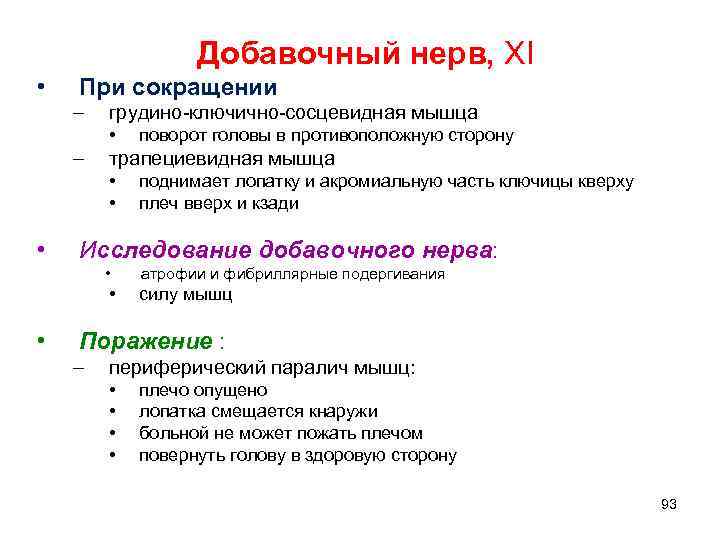 Добавочный нерв, ХI • При сокращении – грудино-ключично-сосцевидная мышца • – трапециевидная мышца •