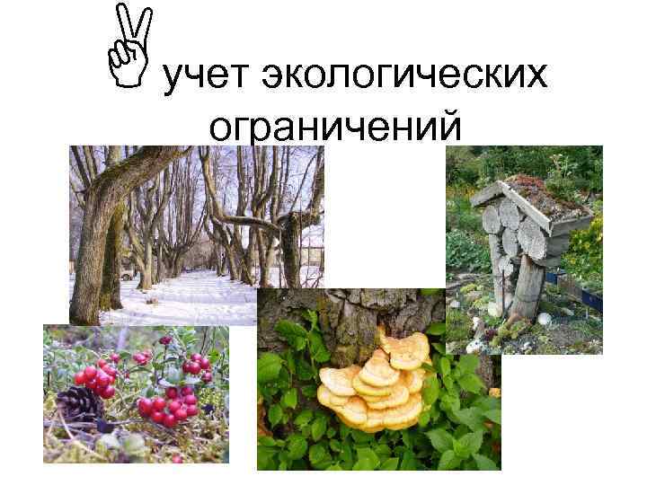  учет экологических ограничений 