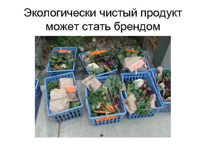 Экологически чистый продукт может стать брендом 