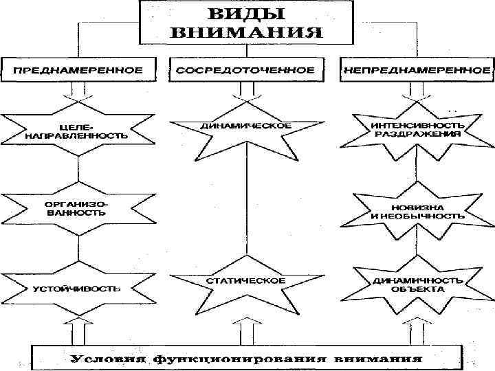 Внимание психический процесс картинки