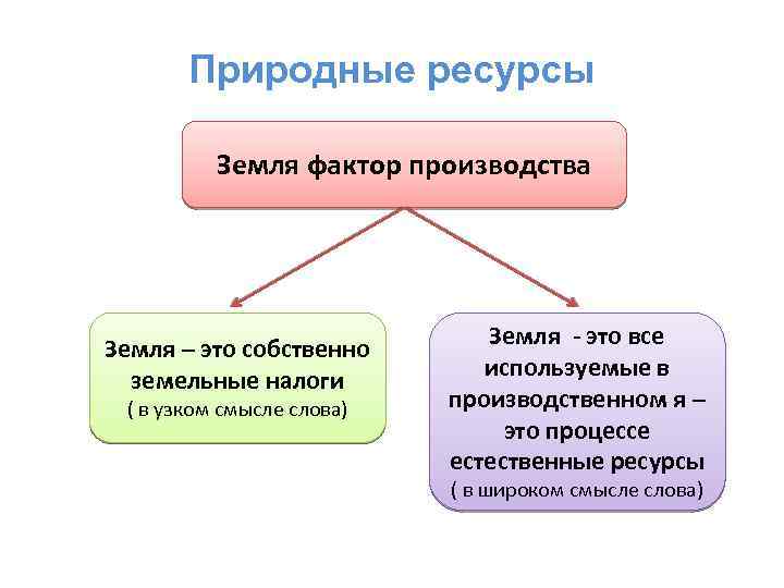 Природные ресурсы Земля фактор производства Земля – это собственно земельные налоги ( в узком