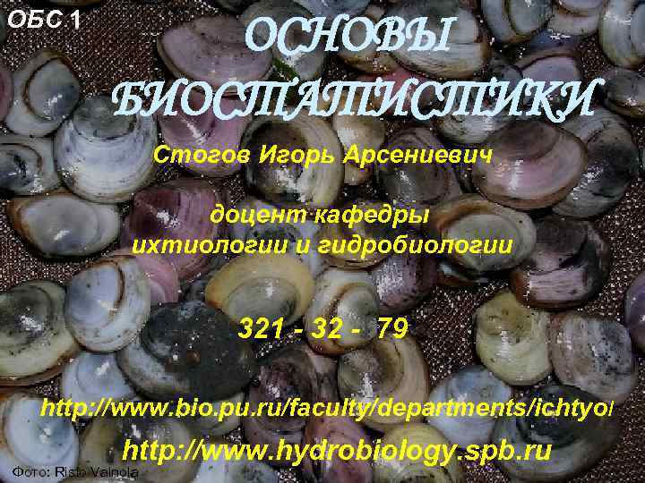 ОБС 1 ОСНОВЫ БИОСТАТИСТИКИ Стогов Игорь Арсениевич доцент кафедры ихтиологии и гидробиологии 321 -