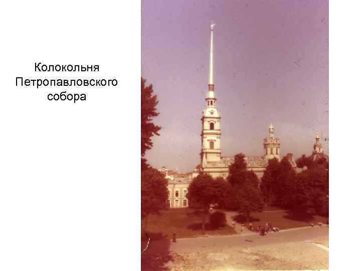 Колокольня Петропавловского собора 