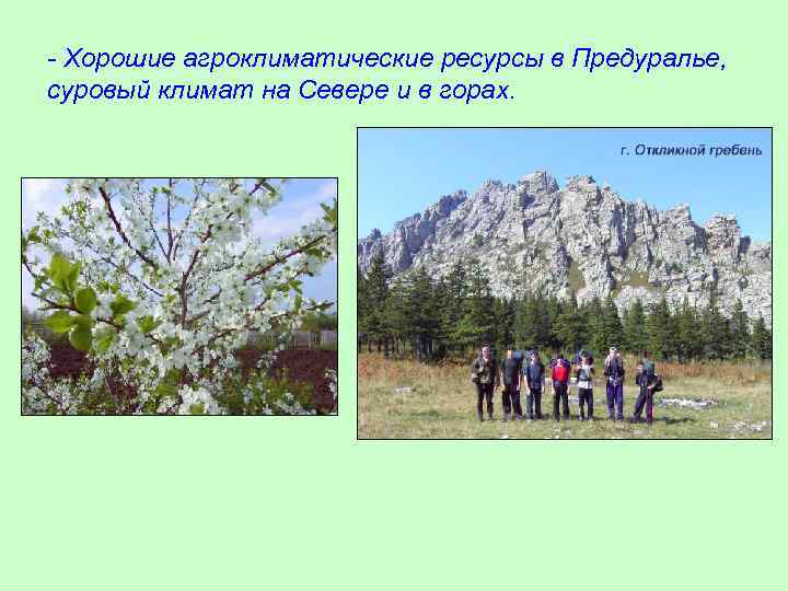 - Хорошие агроклиматические ресурсы в Предуралье, суровый климат на Севере и в горах. 
