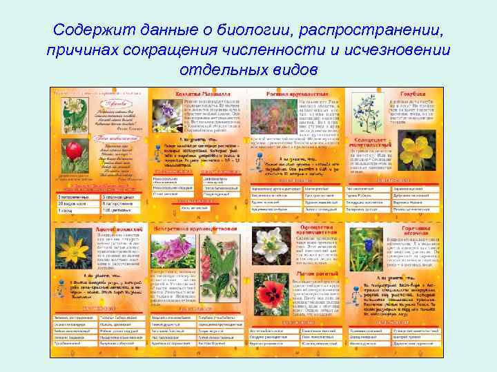 Содержит данные о биологии, распространении, причинах сокращения численности и исчезновении отдельных видов 