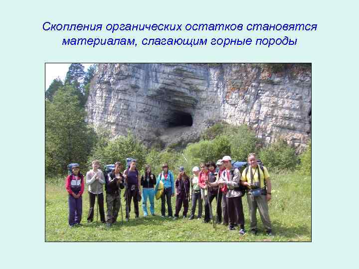Скопления органических остатков становятся материалам, слагающим горные породы 