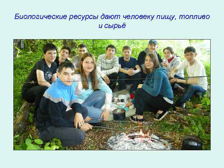 Биологические ресурсы дают человеку пищу, топливо и сырьё 